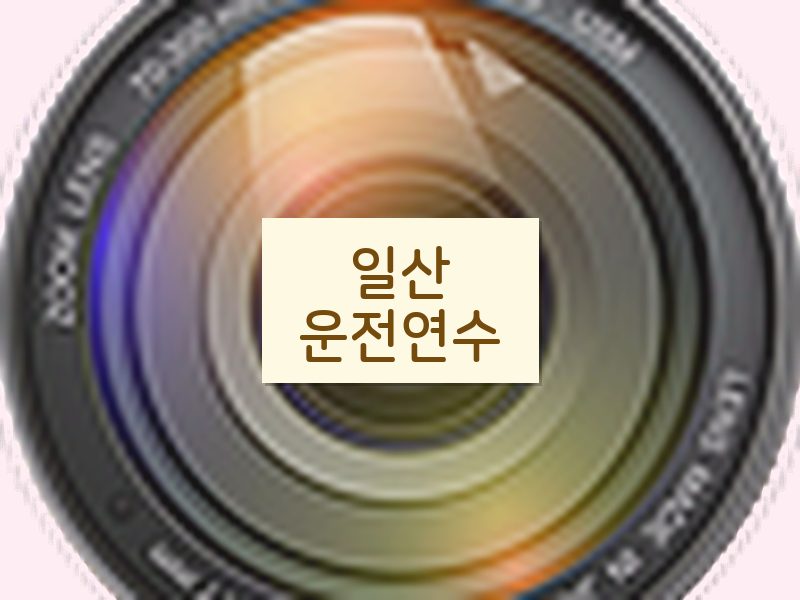 일산운전연수 후기