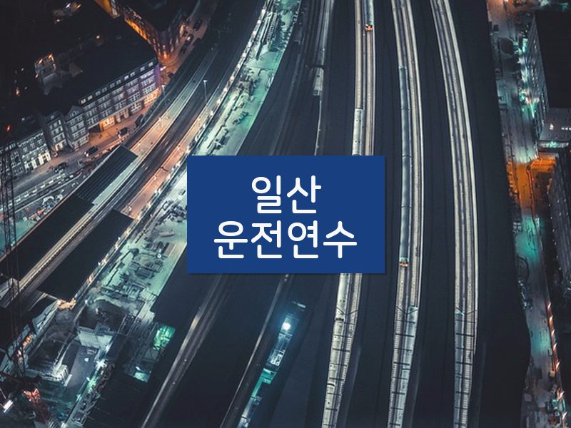 일산운전연수 후기