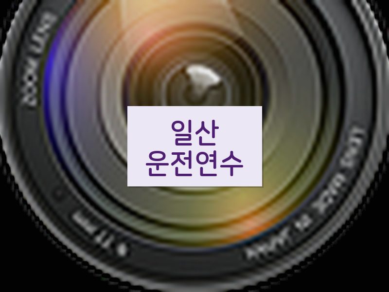 일산운전연수 후기