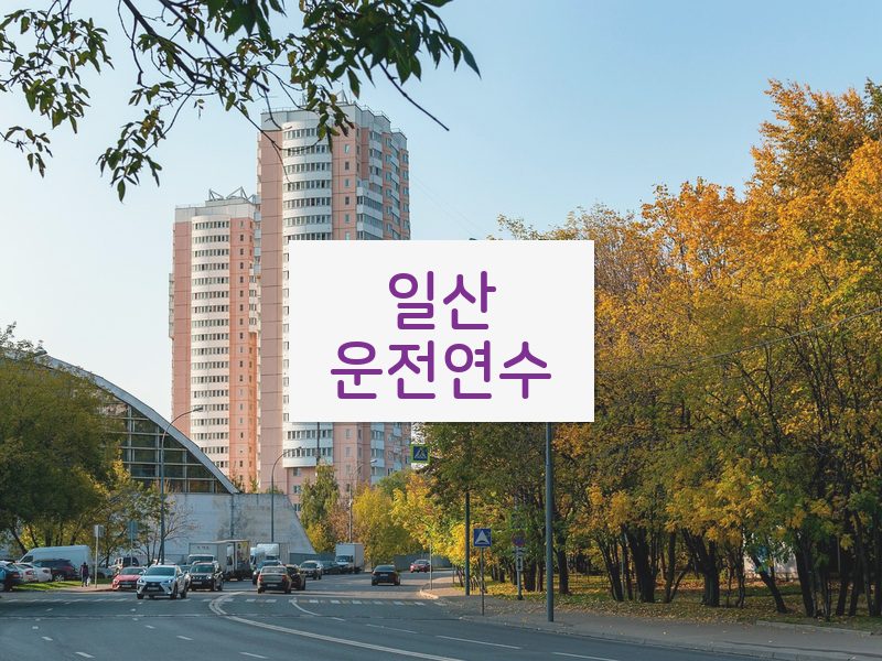 일산운전연수 후기