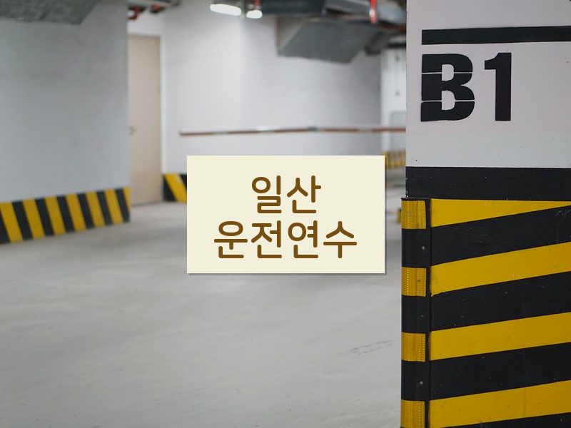 일산운전연수 후기