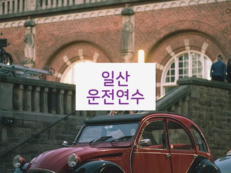 일산운전연수 후기