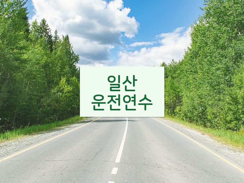 일산운전연수 후기