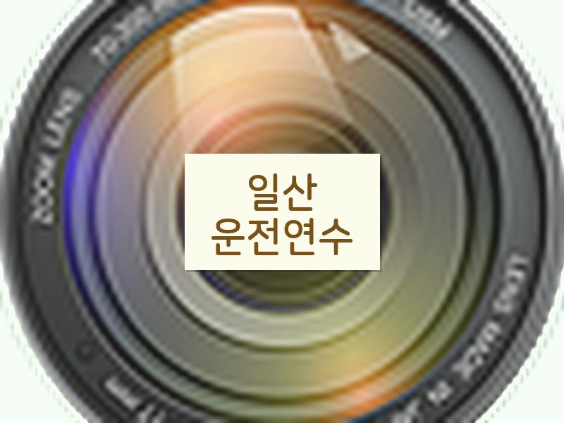 일산운전연수 후기