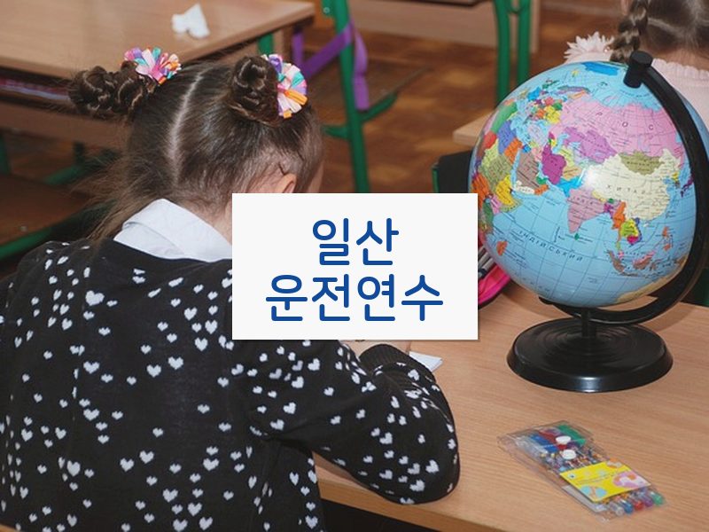 일산운전연수 후기