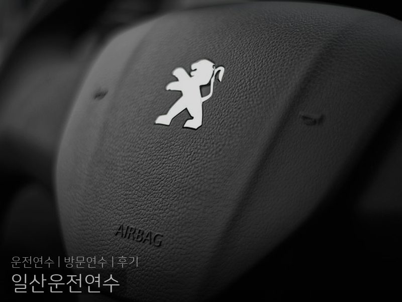 일산운전연수 후기