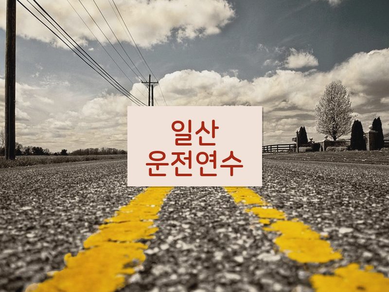 일산운전연수 후기