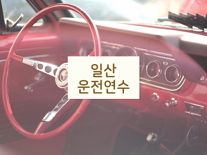 일산운전연수 후기