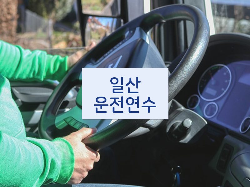 일산운전연수 후기