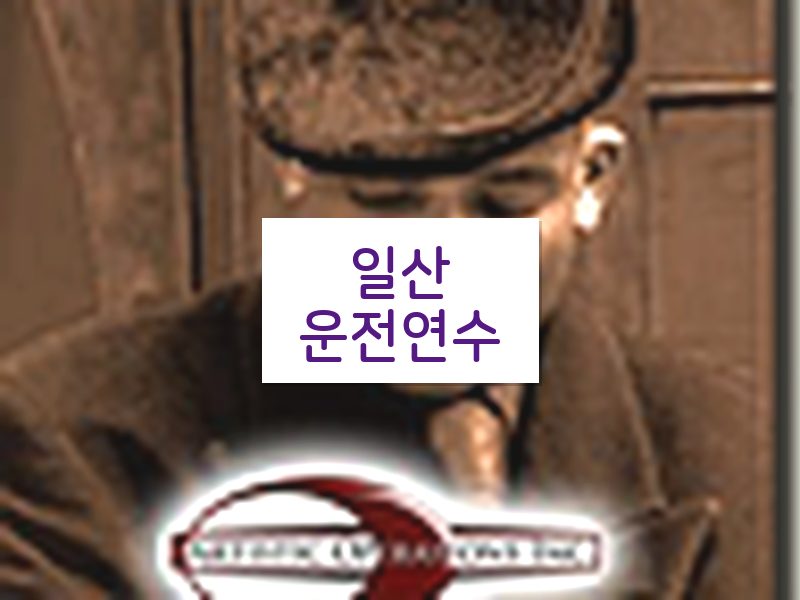 일산운전연수 후기
