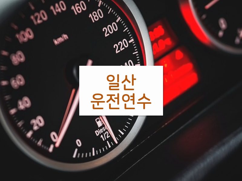 일산운전연수 후기
