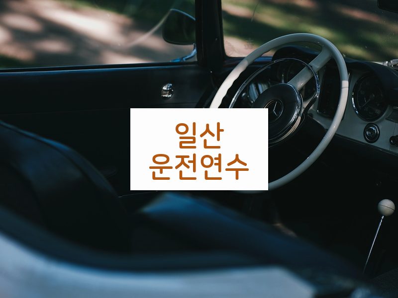 일산운전연수 후기