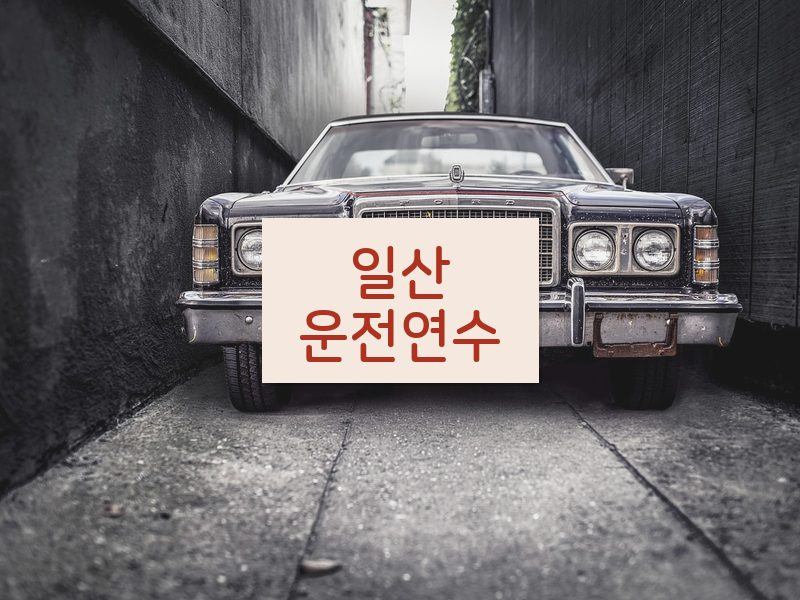 일산운전연수 후기
