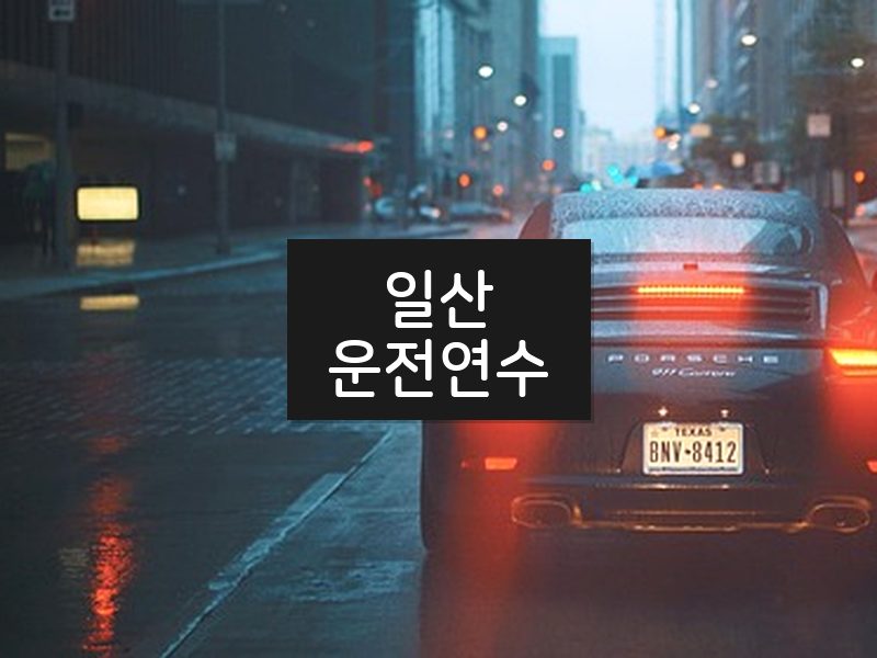 일산운전연수 후기