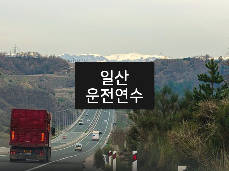 일산운전연수 후기