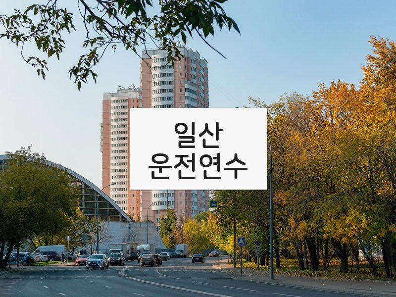 일산운전연수 후기