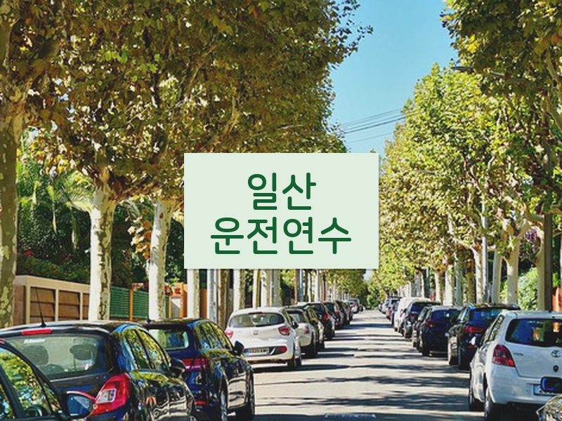 일산운전연수 후기