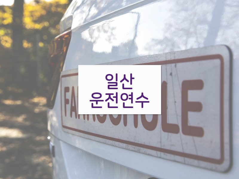 일산운전연수 후기