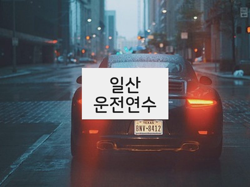 일산운전연수 후기