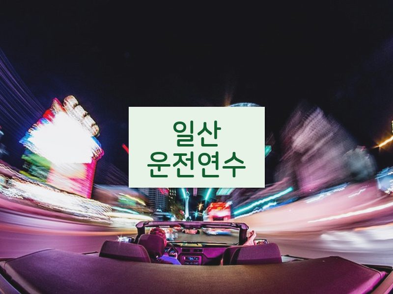 일산운전연수 후기