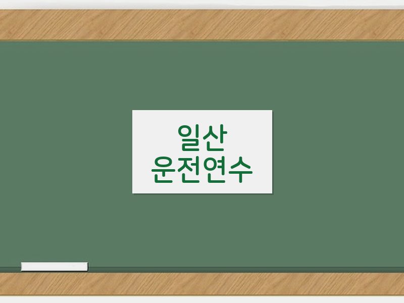 일산운전연수 후기