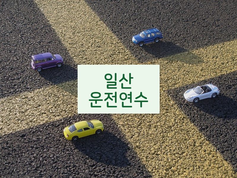 일산운전연수 후기