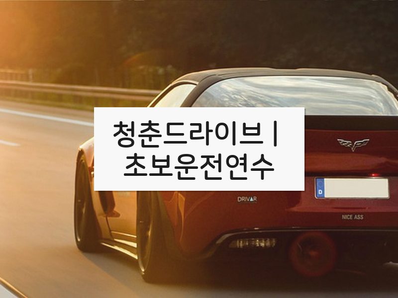 청춘드라이브 | 초보운전연수 후기
