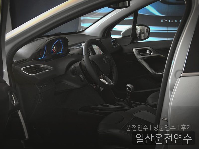 일산운전연수 후기