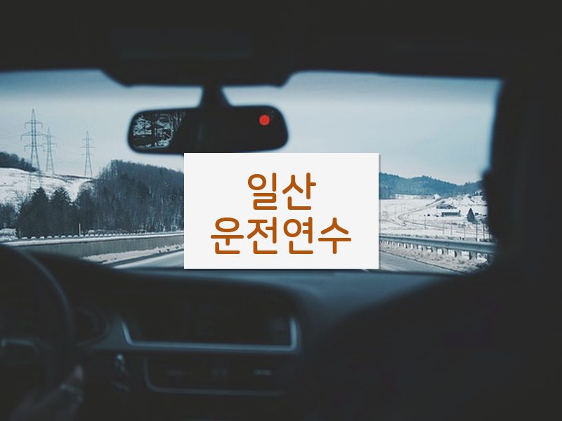 일산운전연수 후기