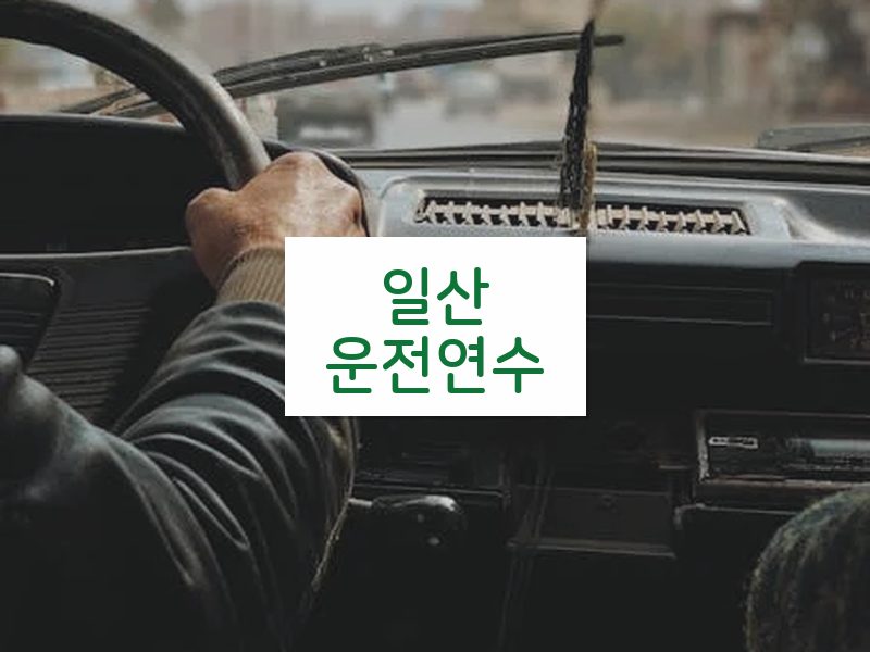 일산운전연수 후기
