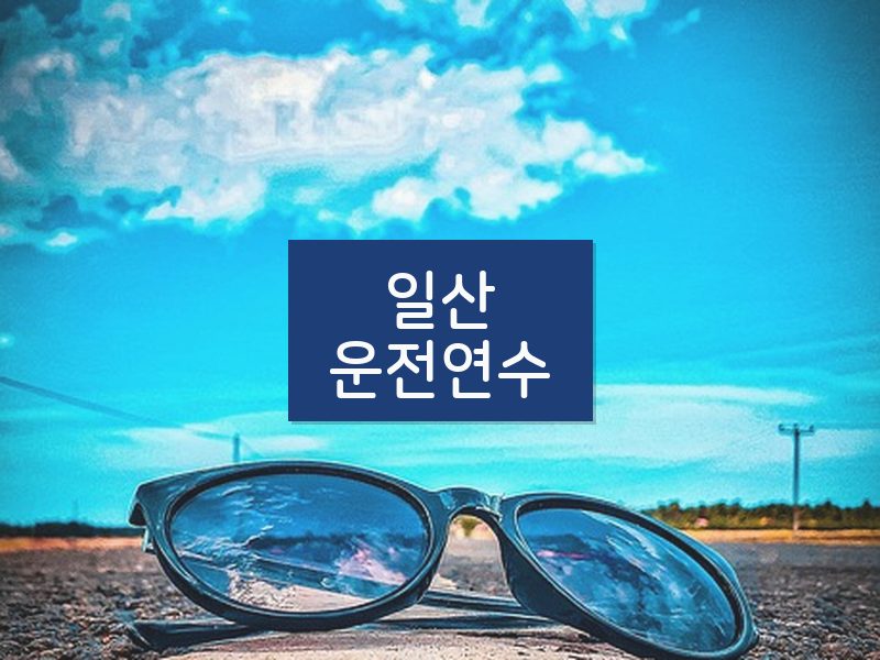 일산운전연수 후기