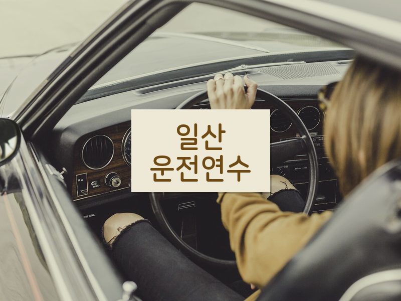 일산운전연수 후기