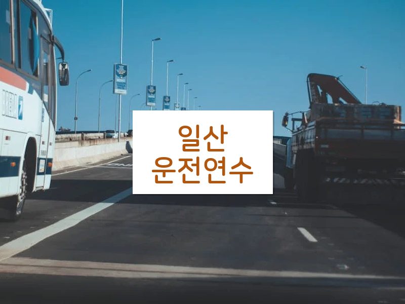 일산운전연수 후기