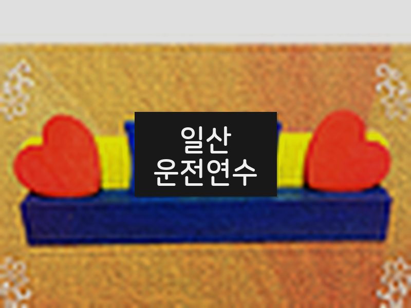 일산운전연수 후기