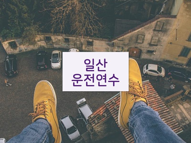 일산운전연수 후기