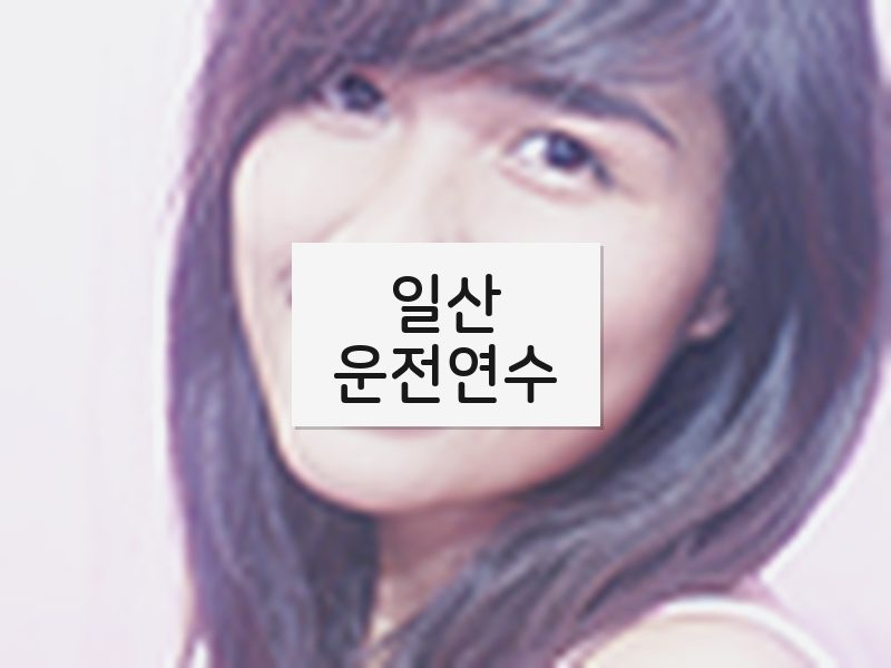 일산운전연수 후기