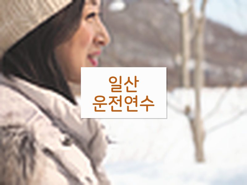일산운전연수 후기