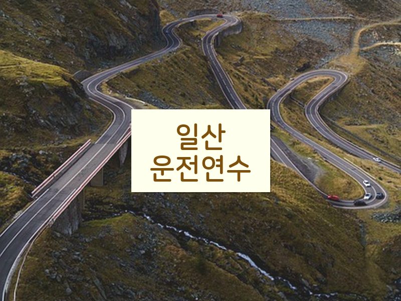 일산운전연수 후기