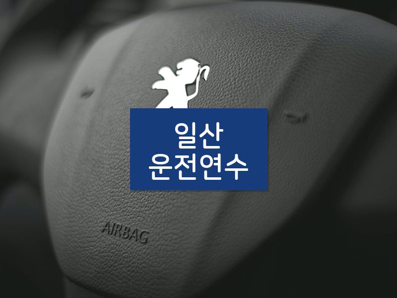 일산운전연수 후기