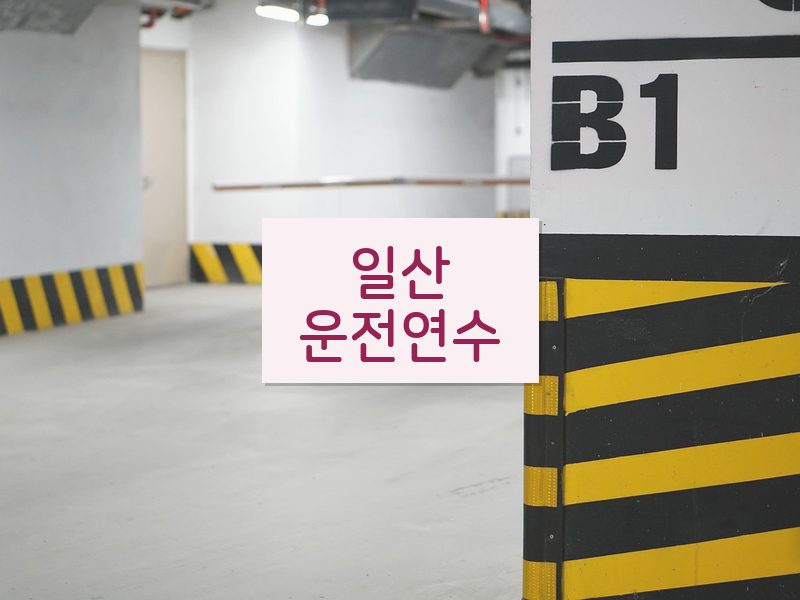 일산운전연수 후기