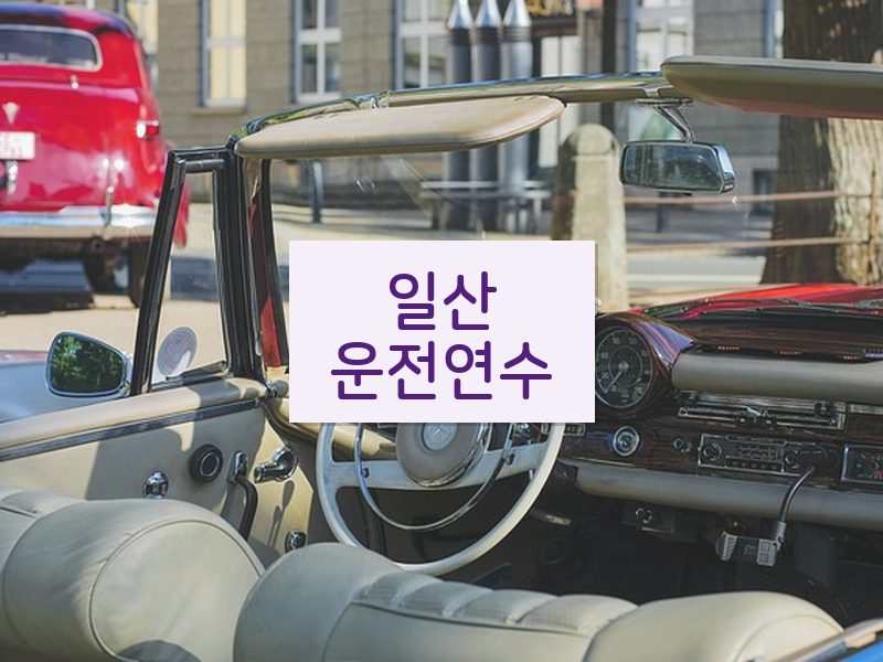 일산운전연수 후기