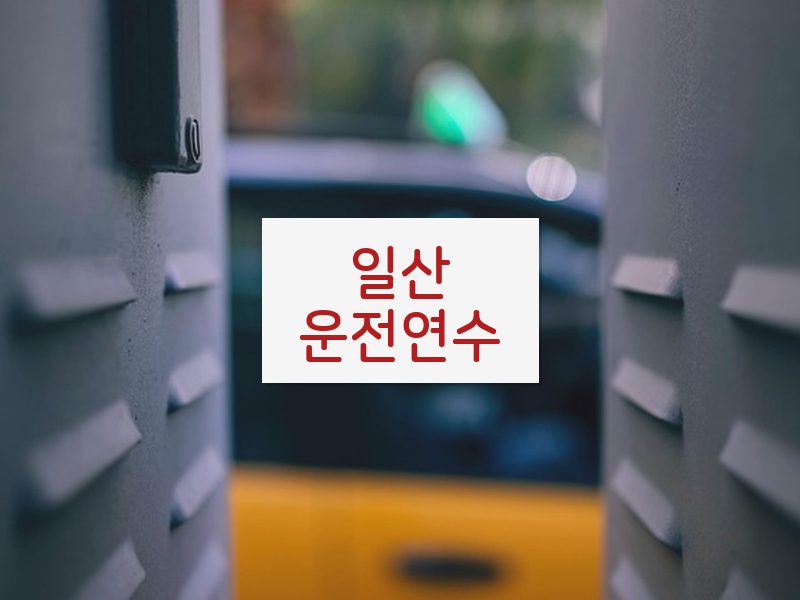 일산운전연수 후기