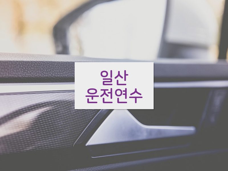 일산운전연수 후기