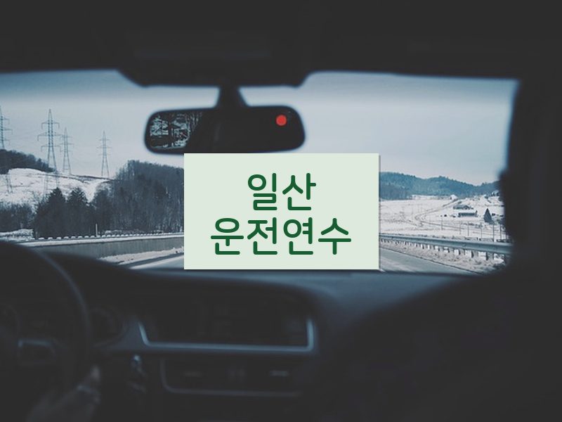 일산운전연수 후기