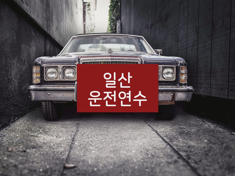 일산운전연수 후기