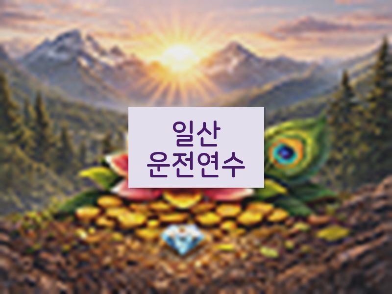 일산운전연수 후기