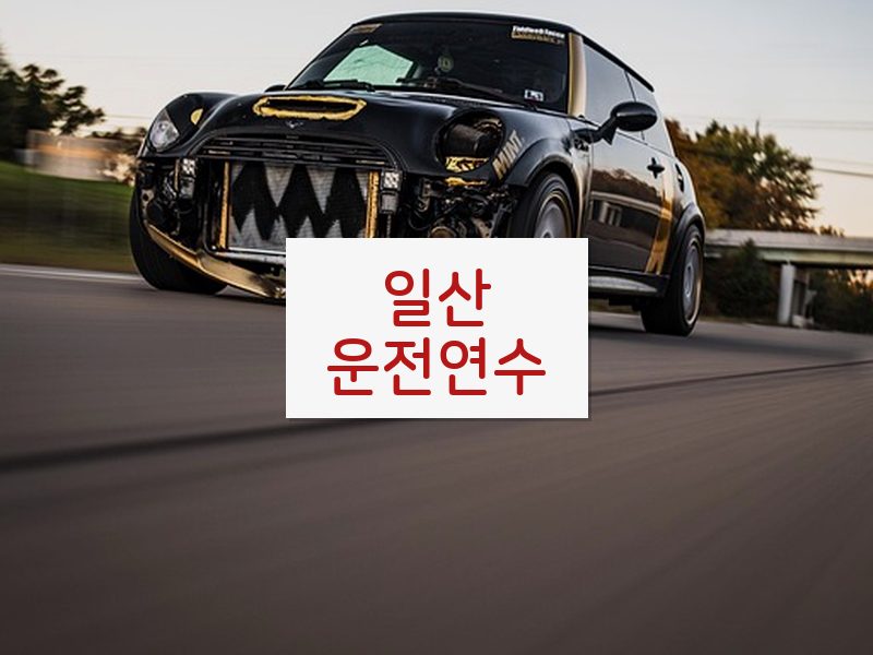 일산운전연수 후기