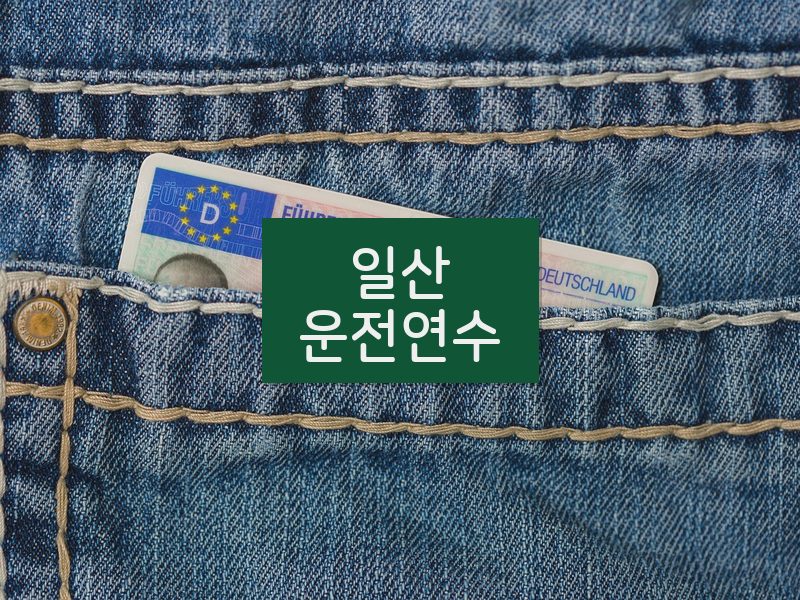 일산운전연수 후기