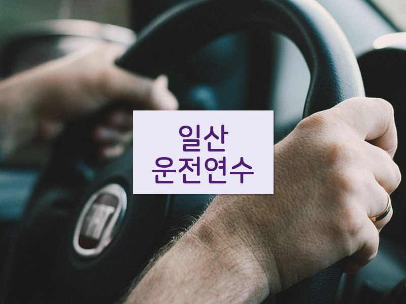 일산운전연수 후기