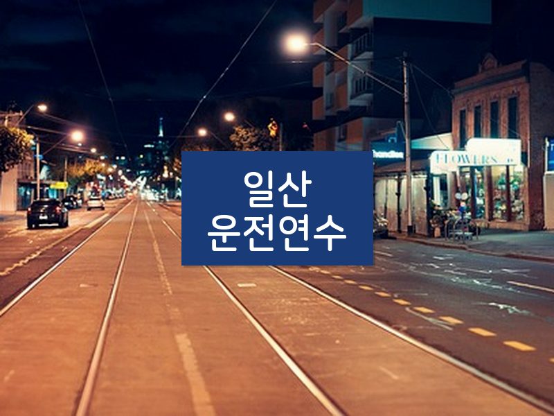 일산운전연수 후기